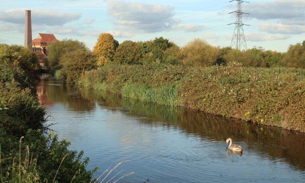 A stretch of water at Walthamstow Wetlands.