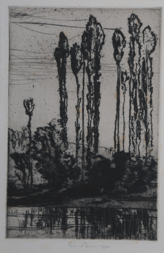 Tall slim trees rising into the sky from wooded hills alongside the River Lot