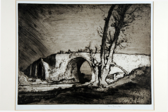 Bridge over river, with tree