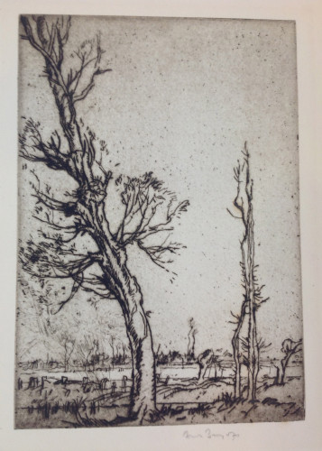 Trees foreground left with others beyond in a flat landscape