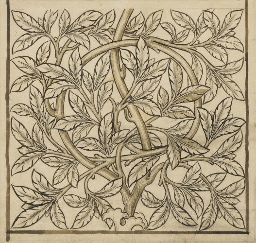 A busy pencil design of curling leaves and branches