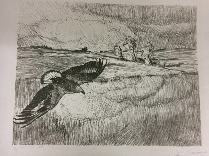 bird flying over fields