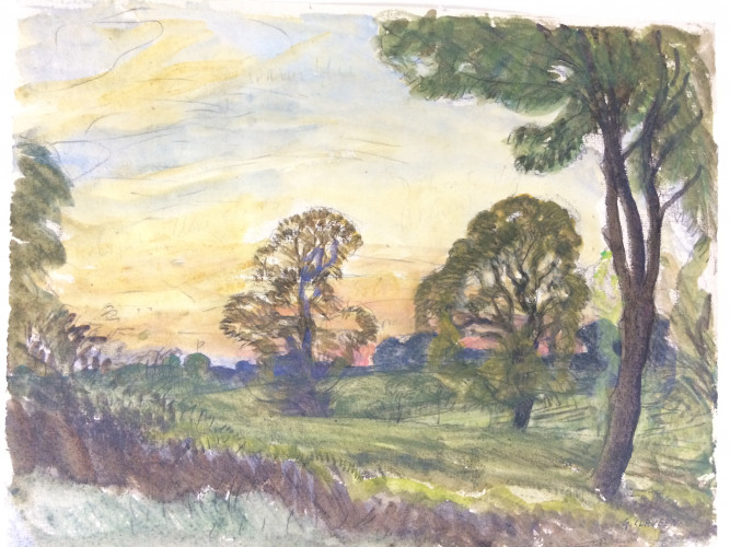 sunset on landscape with trees