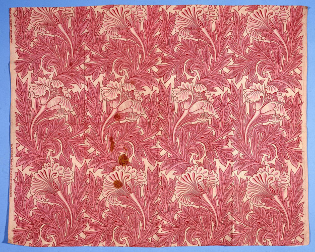 Cotton printed with red tulips