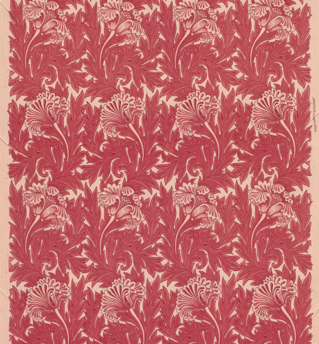 A printed textile in two shades of red showing a repeating floral pattern