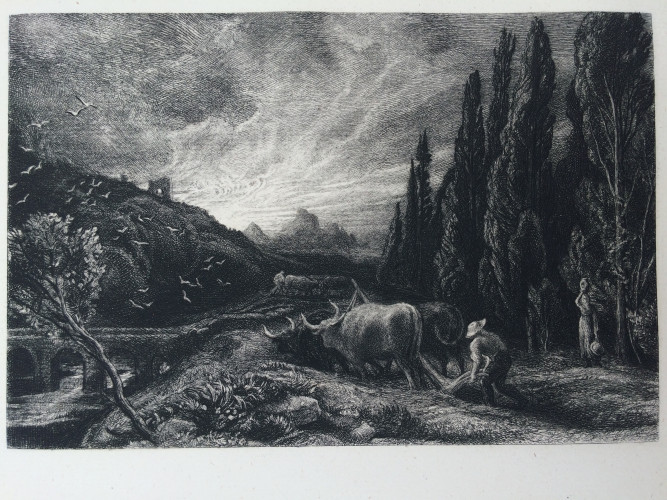 man with plough and animal with sun rising