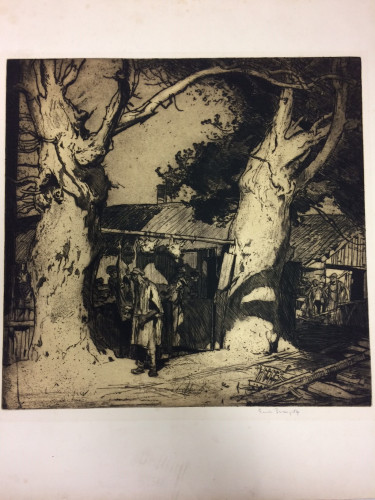 butcher shop between trees