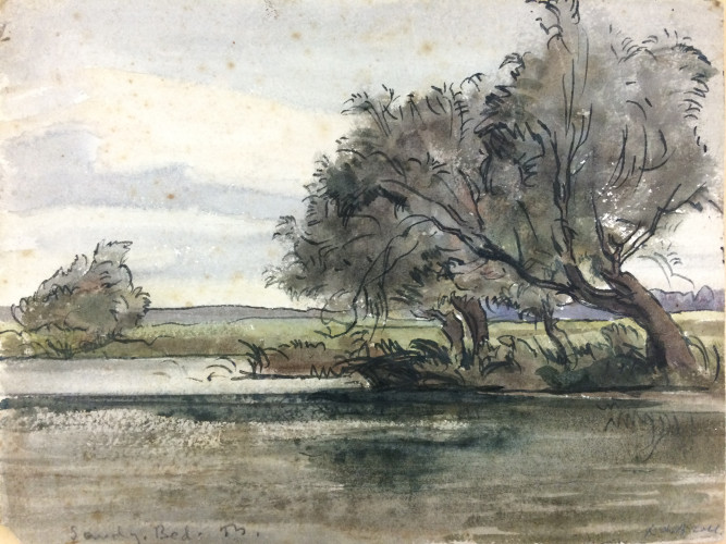 trees on waterfront in rural landscape