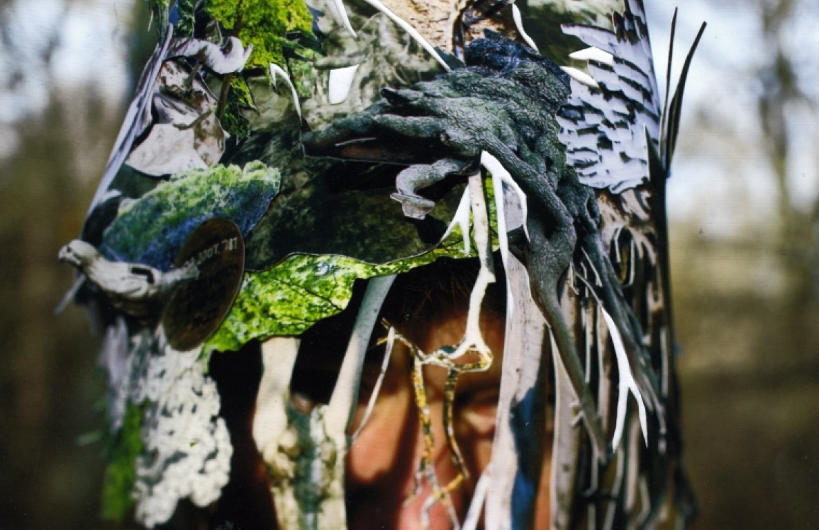 Close up detail of adorned tree trunk