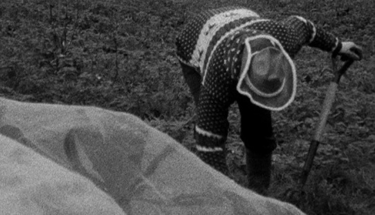 Grainy black and white image of a figure in a hat bending over